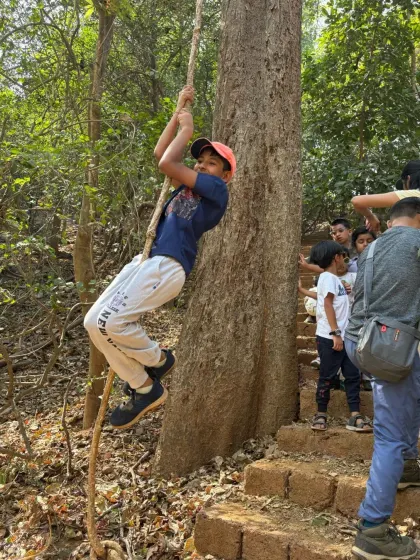 Some of the best playground equipment doesn't come from a factory. A simple rope swing tied to a sturdy tree offers endless fun and a little thrill, reminding us of the simple, timeless joys of outdoor play.