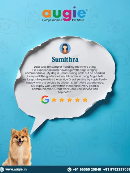 It warms our hearts to hear about Sumithra's experience! Our team, including Dass, Gideon, and Safi, is trained to handle even unruly pups with patience and skill. We're so glad her puppy was in safe hands.