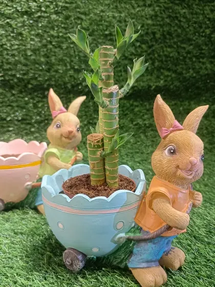 A pair of our rabbit planters in blue and pink. They make a perfect set for a child's room or a cute couple's gift.