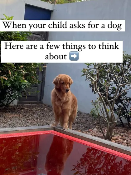 When your child asks for a dog, it's a big decision. Before saying yes, there are several important things to consider to ensure you're setting everyone up for success.