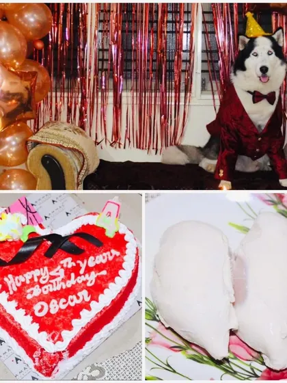 A full birthday bash for Oscar the Husky. These photos show the whole celebration, from his dapper party outfit and custom cake to the joyful moments with his entire family. We help make these core memories happen.