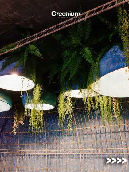 A unique lighting concept for a rooftop or covered patio. These large, modern blue pendant lights are surrounded by hanging ferns, creating a moody and artistic atmosphere.
