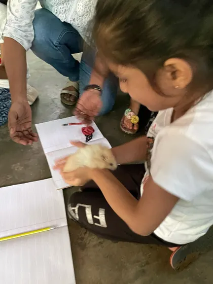 A student gently cradles a hamster while observing it. This quiet, focused interaction helps develop a child's sense of calm and carefulness.