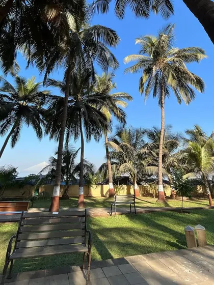 A tranquil scene at a park in Dadar, with benches set on a lush green lawn under a canopy of coconut trees.