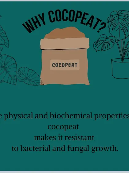Why cocopeat? Its physical and biochemical properties make it naturally resistant to bacterial and fungal growth, promoting healthier roots.