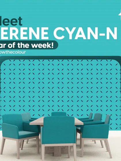 My "Better Half" and "Know the Colour" series explore unique color pairings and deep dives into specific shades. Let these ideas inspire you to create a truly unique and harmonious color story in your home.