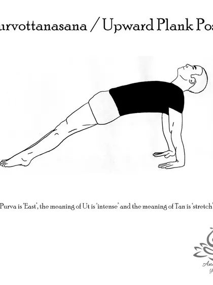 Purvottanasana (Upward Plank Pose) strengthens the arms, legs, and back, while stretching the shoulders, chest, and front ankles.