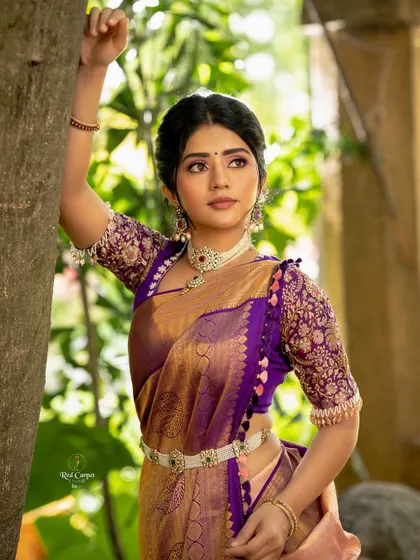 A close-up profile of Megha Shetty, showing the intricate details of the embroidered blouse and the beautiful zari work on the saree.