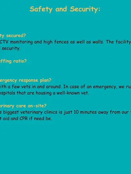 Your dog's safety and security are paramount. This FAQ covers our facility security measures like CCTV and high fences, our staff-to-dog ratio, and our emergency response plan.