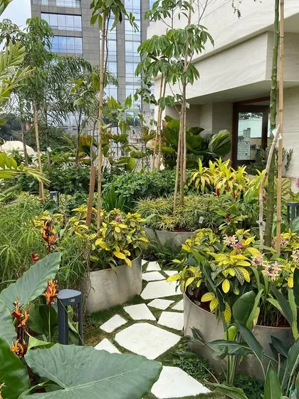 A view of the winding stone path through a dense arrangement of tropical plants on a residential terrace. Our plant selection is tailored to the specific light conditions and client preferences for a thriving, personalized garden.