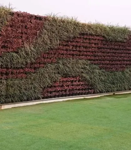 A closer look at the intricate patterns on our outdoor green wall. We carefully select plants like the red-leafed varieties seen here to create contrast and visual interest, ensuring the wall is a stunning feature from any distance.