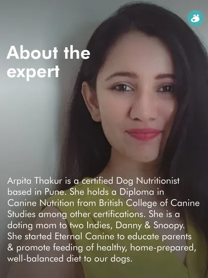 Meet Arpita Thakur, a certified dog nutritionist and mom to two Indies. She leads our nutrition workshops, promoting healthy, home-prepared, and well-balanced diets to help dogs thrive.