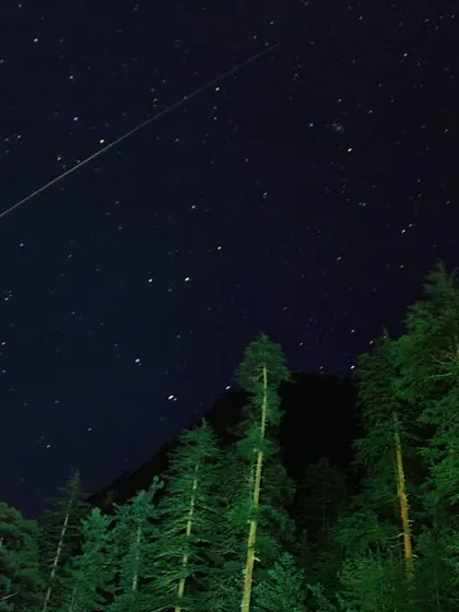 A shooting star streaks across the night sky above a forest of pine trees. I am in love with these quiet, 3 AM moments, filled with stars, cold wind, and silence.