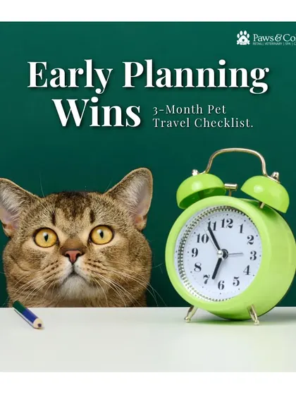 Early planning wins. This graphic introduces our 3-month pet travel checklist. For many countries, a mandatory waiting period begins after the antibody titer blood test, making it crucial to start the process well in advance.