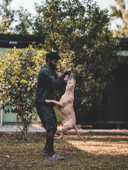 A game of tug is more than just play. It's a great way to build a dog's confidence and strengthen the bond with their handler, all while getting a great workout.