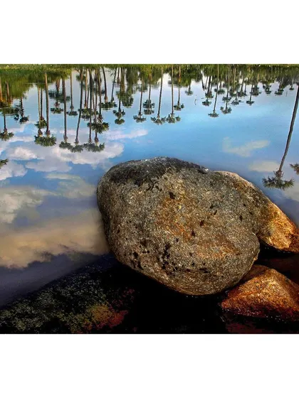 This landscape from Tamil Nadu captures a perfect reflection of the sky, clouds, and trees on the water's surface. It is a study of symmetry and nature's artistry, where the water becomes a canvas.