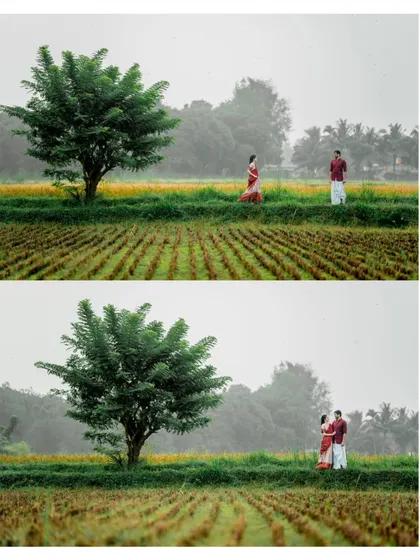 Wide-angle shots establishing the beautiful, rustic scenery of a pre-wedding shoot, with a single tree creating a strong focal point.