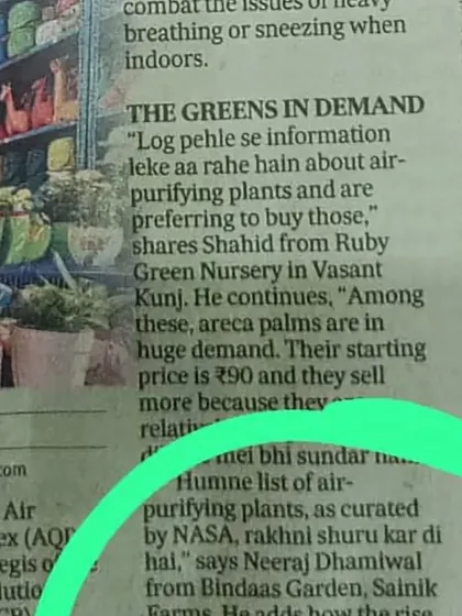 This quote from our founder, Neeraj Dhamiwal, in the newspaper highlights our proactive approach. We stay informed about the best air-purifying plants and keep them in stock to meet the city's needs.
