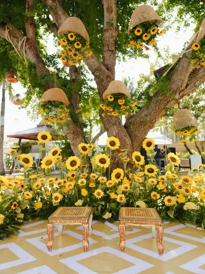 A cheerful sunflower-themed Haldi setup under a large tree at a beachside venue in Thailand, creating a bright and sunny atmosphere.