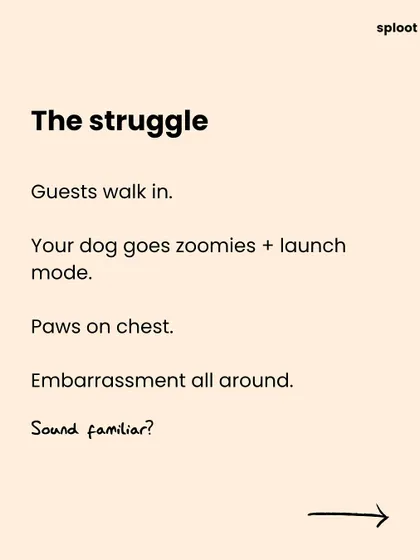 We've all been there: guests walk in, and your dog goes into launch mode. This graphic describes the familiar, embarrassing struggle of a dog jumping on visitors, setting the stage for a real solution.