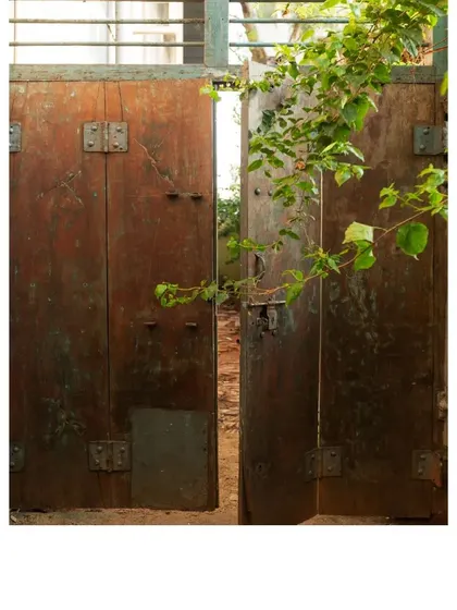 This heavy, dark wooden door is framed by climbing plants, integrating the structure with the surrounding nature.