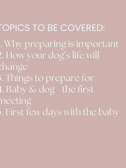 In this webinar, I cover the five essential topics for preparing your dog for a baby. From understanding how your dog's life will change to managing the first meeting, you'll leave with a solid plan.