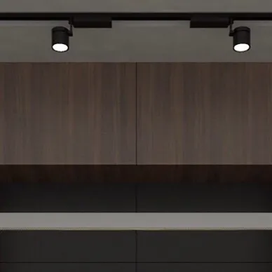 A detail of the track lighting and veneer cabinets from the black kitchen concept. This view shows the precise alignment and minimalist hardware that contribute to the kitchen's sophisticated and modern aesthetic.
