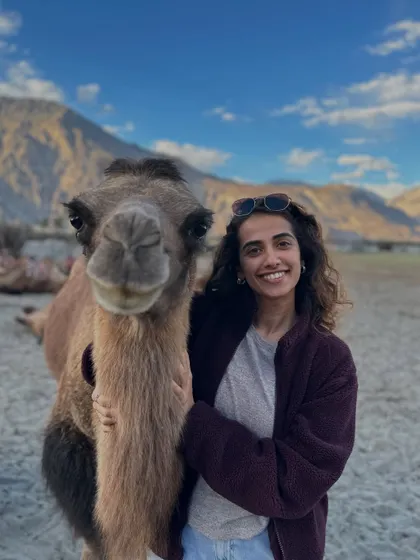Making a new friend in Ladakh. The Bactrian camels of Nubra Valley are gentle giants, and connecting with them was a highlight of our exploration.