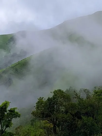 Clouds gently rolling over the green hills, a common and beautiful sight on our Nethravathi treks.