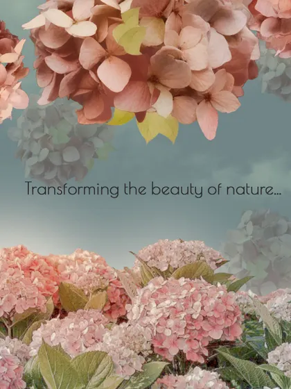Transforming the beauty of nature into a wearable piece of art. This mood board shows my inspiration from pink hydrangea flowers for a fabric design.