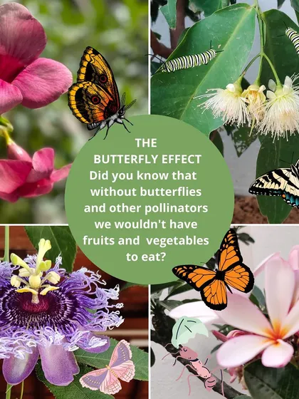 From observing flowers and bugs to playing with our miniature pond, every day is an opportunity to connect with the natural world. These activities are central to our curriculum, encouraging observation and a love for nature.