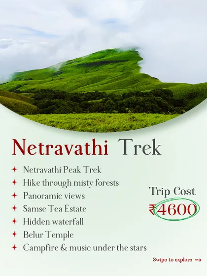 The Netravathi trek package for 4600 rupees. This includes the hike through misty forests, a visit to a tea estate, and a campfire under the stars.