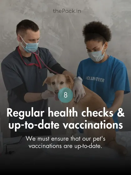 Part of being a responsible pet parent is ensuring your dog is not a health risk to others. This point from our etiquette guide emphasizes the importance of regular health checks and up-to-date vaccinations.