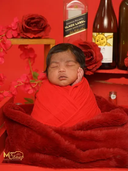 A classic "boss baby" pose. The rich red background and props create a luxurious and humorous setting for this newborn.