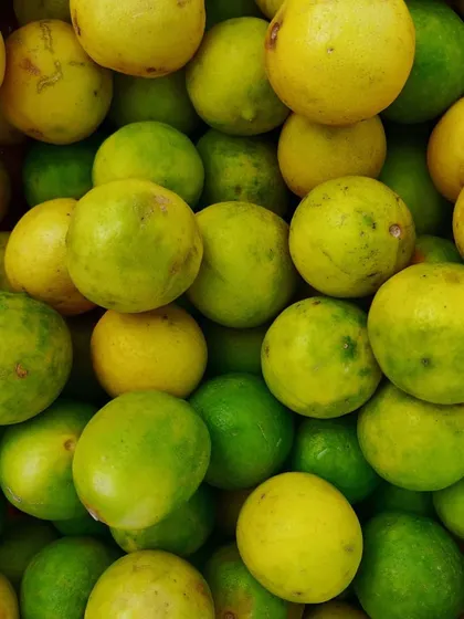 The bright, fresh citrus I use for my lemon pickles. Their tangy juice is the heart of the flavour.