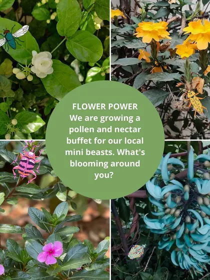 From observing flowers and bugs to playing with our miniature pond, every day is an opportunity to connect with the natural world. These activities are central to our curriculum, encouraging observation and a love for nature.