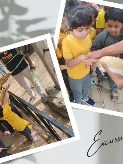 Children learning to feed animals and gently touching a small hedgehog. Our guides at the sanctuary ensure all interactions are safe and positive for both the kids and the animals.