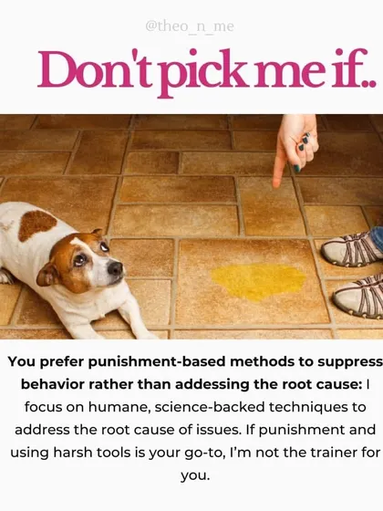 I'm very direct about my training style, so I want you to know if we're the right fit. I believe in empowering you, the owner, to build a strong relationship with your dog through positive reinforcement, not quick fixes or harsh methods.