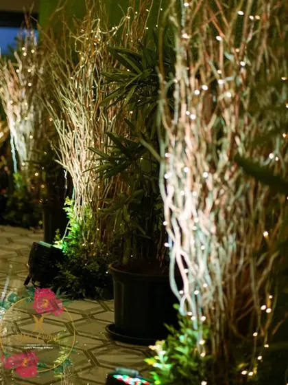 An enchanting pathway created with illuminated dry twigs and potted plants, adding a magical, woodsy feel to the cocktail party entrance.