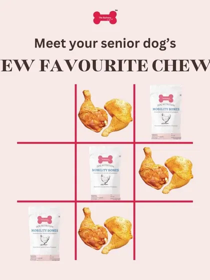 Tic-tac-toe, three in a row! These are your senior dog's new favorite chews. My Mobility Bones are made from human-grade chicken wings and enriched with glucosamine and turmeric to ease discomfort.
