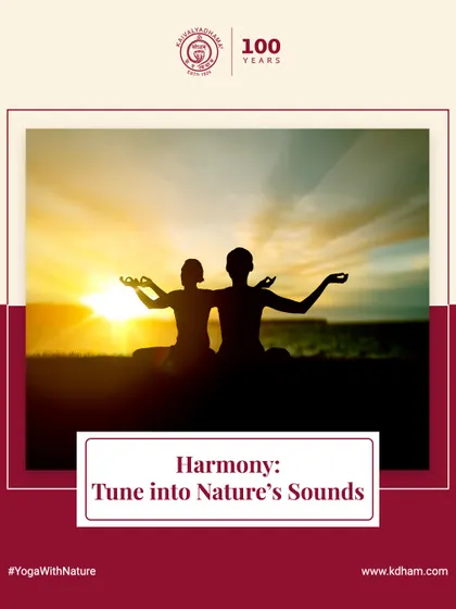 Harmony is found when we tune into the rhythms of nature. The sounds of the environment, from birdsong to the wind, can become a focal point for meditation, bringing the mind into a state of natural harmony.