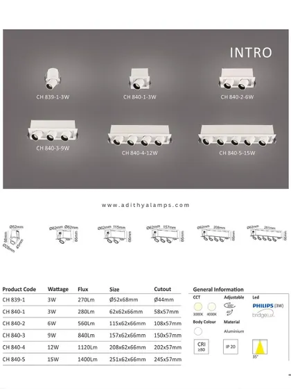 The product catalog page for our 'Intro' series of recessed architectural lights. It shows the full range from single to five-light modules, with detailed specifications for wattage, size, and cutout dimensions.
