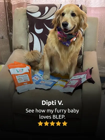 A happy golden retriever surrounded by her favorite Blep meals. This is what pure joy looks like.