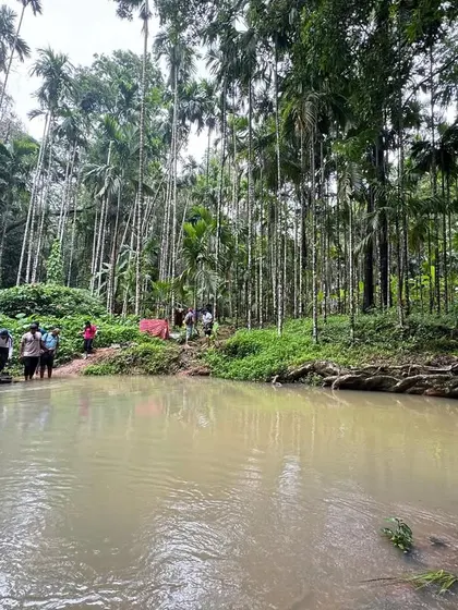 Crossing a gentle stream surrounded by tall areca nut plantations, a classic Malnad landscape. These are the peaceful moments that balance the thrilling parts of the trek.