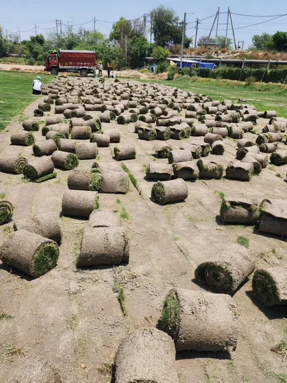 We deal in wholesale quantities of Mexican grass turf. This image shows the scale of our supply.