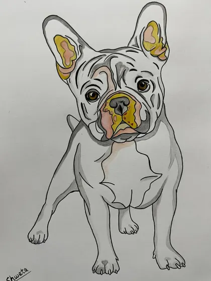 A playful watercolor and ink portrait of a French Bulldog. I can create custom pet portraits from your photos to capture the unique personality of your furry friend.