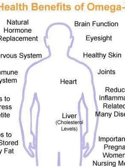 This diagram illustrates the wide-ranging benefits of Omega-3 fatty acids, from supporting brain and heart function to helping manage inflammation. We educate our clients on why this nutrient is so important for overall health.