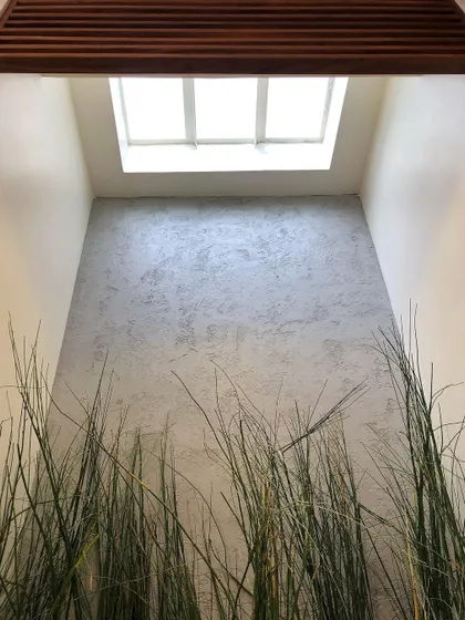 An interior detail from the home, where a skylight brings natural light down onto a textured wall. This small, zen-like corner with tall grasses shows my focus on creating calm, nature-connected spaces within the house.