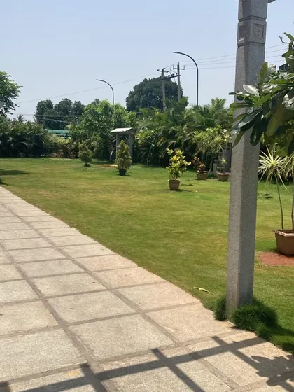 A view from under a stone pergola looking out onto a vast, sunny lawn dotted with young trees. This showcases the creation of large, open green spaces for private estates.