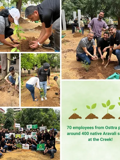 A collage showing 70 employees from Osttra planting around 400 native Aravali saplings at the Creek, a testament to their commitment.